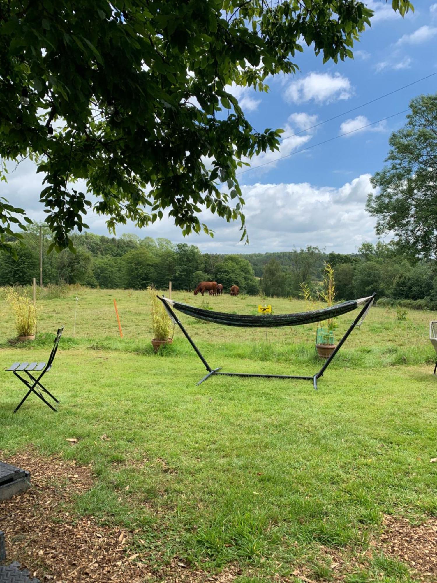 American School Bus Retreat With Hot Tub In Sussex Meadow Акфілд Екстер'єр фото