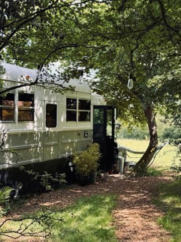 American School Bus Retreat With Hot Tub In Sussex Meadow Акфілд Екстер'єр фото